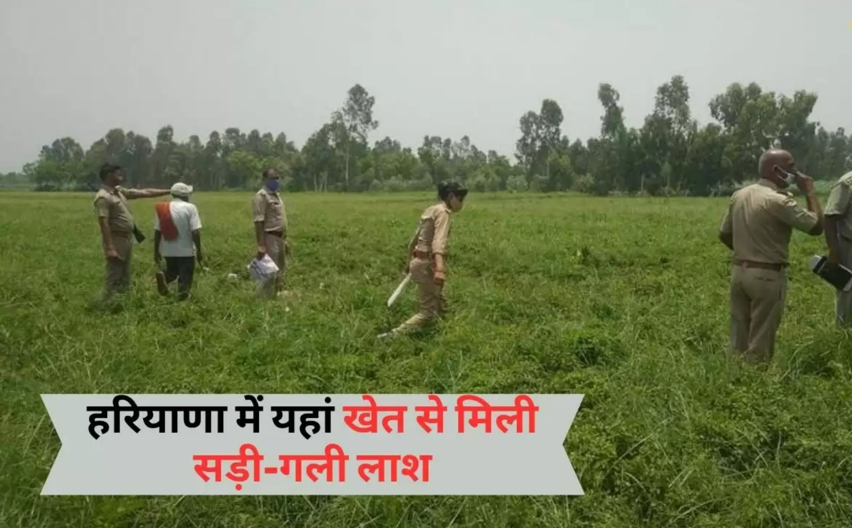 Haryana News: हरियाणा में यहां खेत से मिली सड़ी-गली लाश, फोन के आधार पर चल रही शिनाख्त की कोशिश Haryana News: हरियाणा में यहां खेत से मिली सड़ी-गली लाश, फोन के आधार पर चल रही शिनाख्त की कोशिश